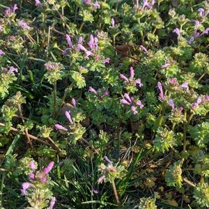 Meet your Posher, Zoie .-.